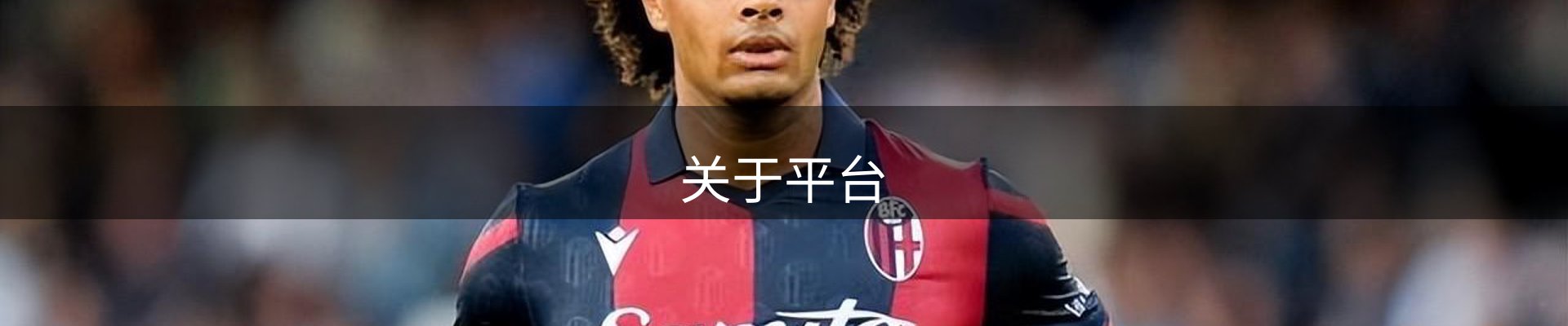 关于平台